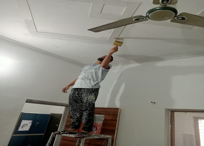 Painter Services in Rudrapur